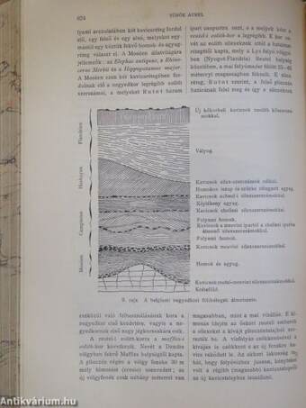 Természettudományi Közlöny 1906. január-december/Pótfüzetek a Természettudományi Közlönyhöz 1906. január-december