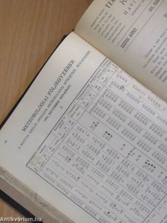 Természettudományi Közlöny 1906. január-december/Pótfüzetek a Természettudományi Közlönyhöz 1906. január-december