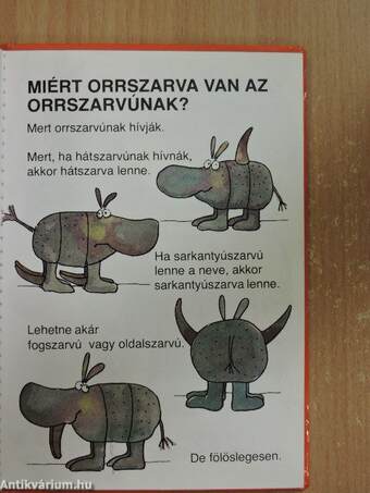 Amit az orrszarvúkról feltétlenül tudni kell