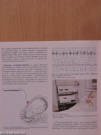 Szülészet-nőgyógyászat 1-3.