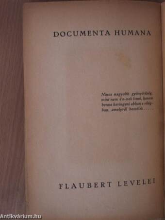 Gustave Flaubert levelei