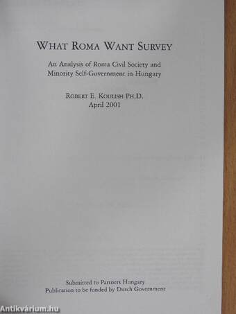 What Roma Want Survey?