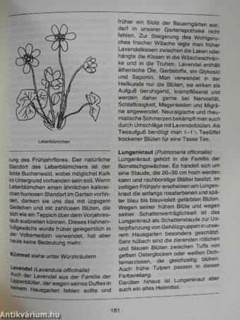 Das neue Gartenbuch