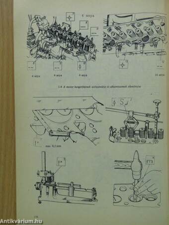 Belarusz-MTZ-80 II., Belarusz-MTZ-82 II. Panoráma vezetőfülkével szerelt traktorok