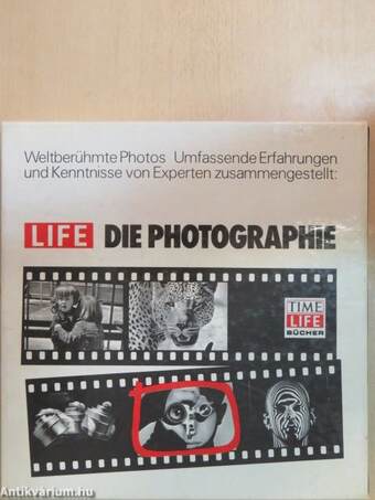 Photographie 1981/82