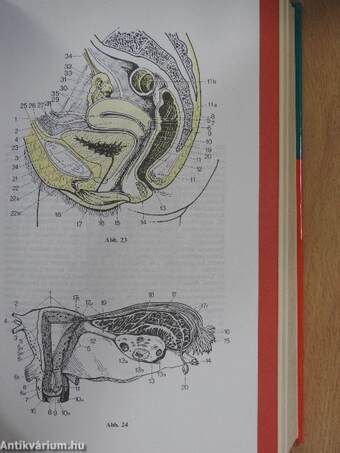 Fachwörterbuch der Medizin