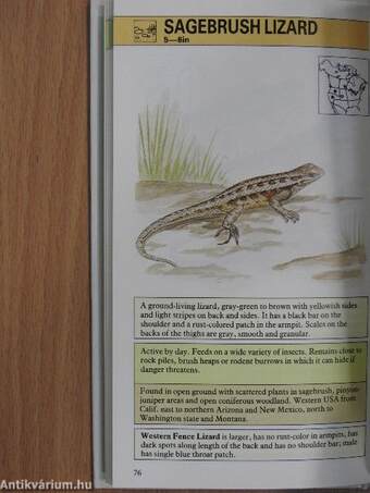 An instant guide to reptiles & amphibians