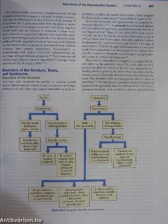 Pathophysiology - CD-vel