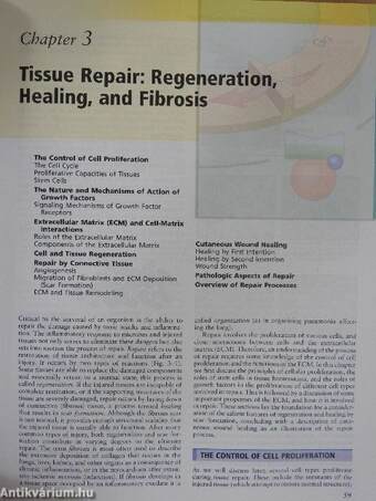 Robbins Basic Pathology