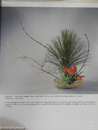 Ikebana with the Seasons