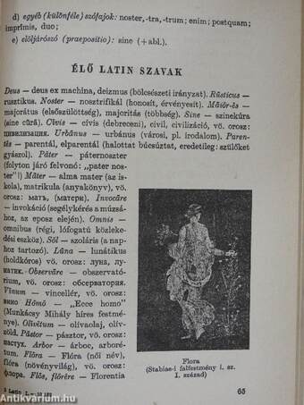 Latin nyelvkönyv I.