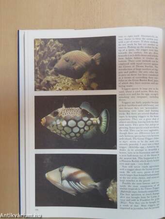 Complete Book of Tropical Fish