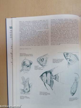 Complete Book of Tropical Fish