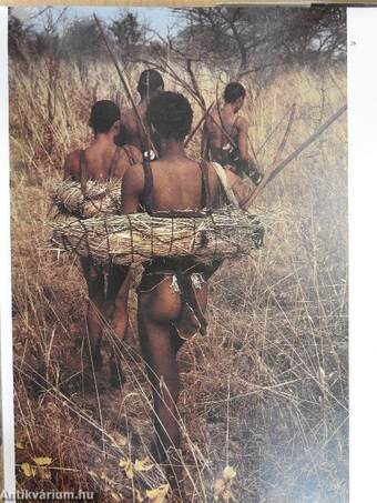 The bushmen