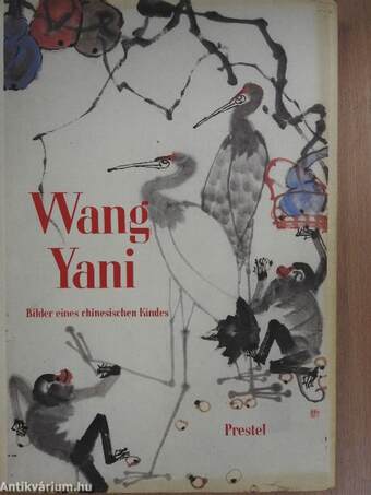 Wang Yani