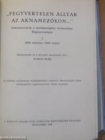 "Fegyvertelen álltak az aknamezőkön..." I.