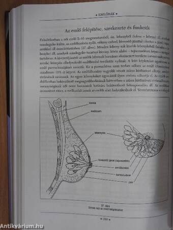 A rákról őszintén férfiaknak és nőknek