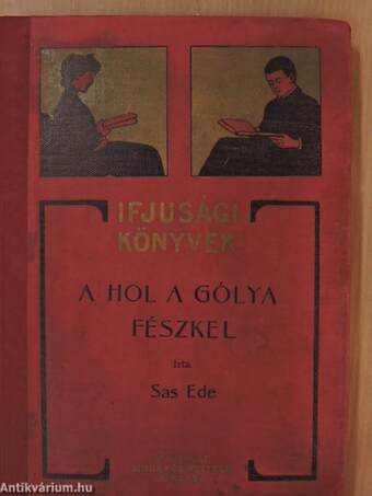 A hol a gólya fészkel