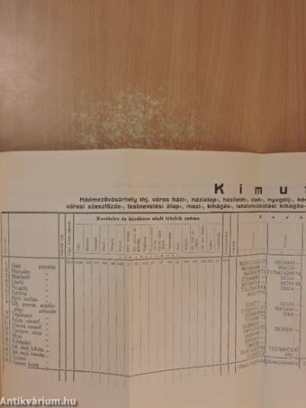 Hódmezővásárhely törvényhatósági joggal felruházott város polgármesterének évi jelentése az 1926-ik évről