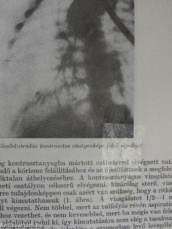 Gyermekgyógyászat 1966-1967. január-december