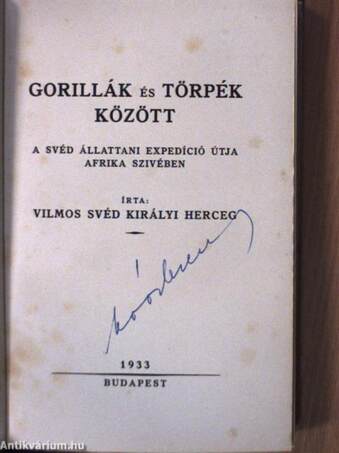 Gorillák és törpék között