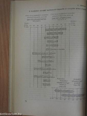 Szöveggyűjtemény a szervezetelmélet történetének tanulmányozásához II.