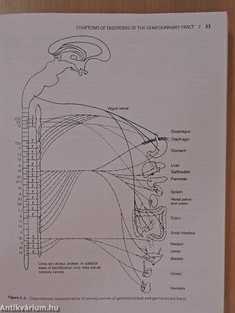 Smith's General Urology