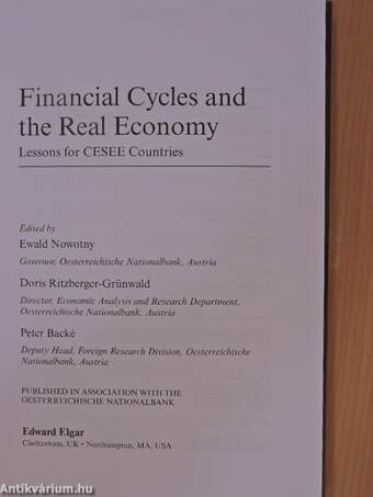 Financial Cycles and the Real Economy