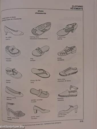 Angol-francia képes szótár/Visual Dictionary/Dictionnaire Visuel