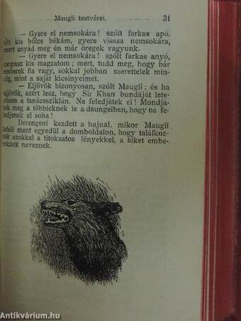 Vázlatok/De Profundis/Darwin élete és tana/A dsungel könyve I-II./A jövő nemzedéke