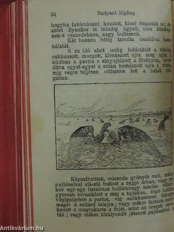 Vázlatok/De Profundis/Darwin élete és tana/A dsungel könyve I-II./A jövő nemzedéke