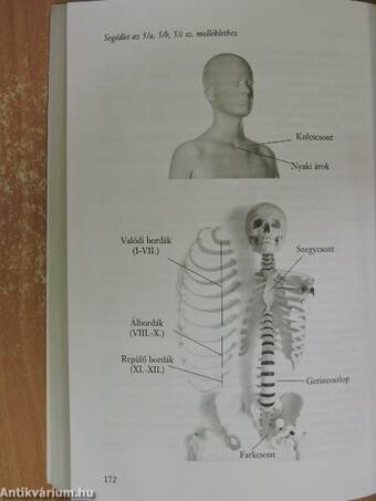 Gondolattól a szülésig