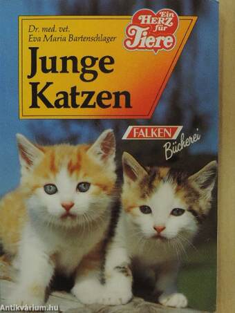 Junge Katzen