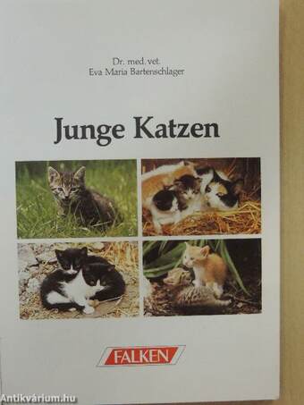 Junge Katzen