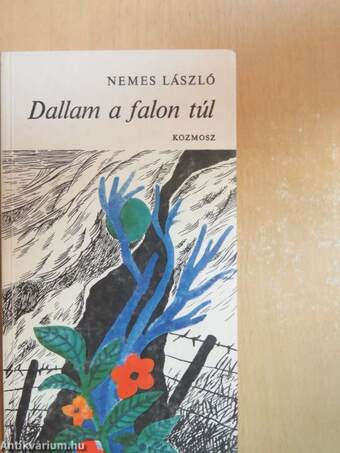 Dallam a falon túl