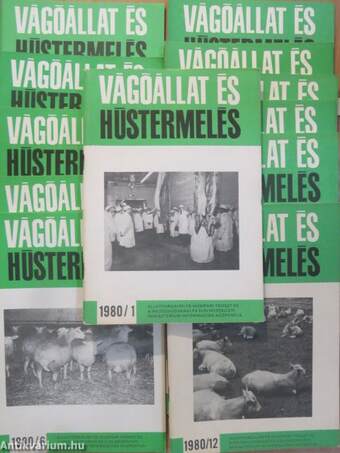 Vágóállat és hústermelés 1980. január-december