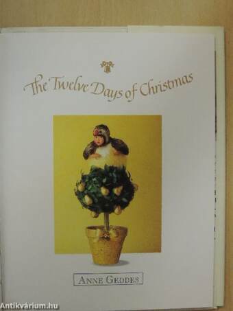 The Twelve Days of Christmas