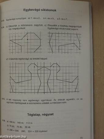 Matematika 5. feladatainak megoldása