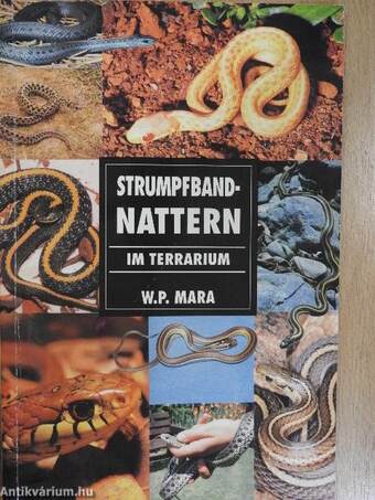 Strumpfbandnattern im Terrarium