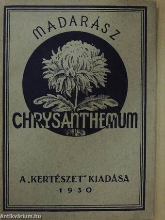 A chrysanthemum termesztése