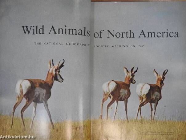 Wild Animals of North America