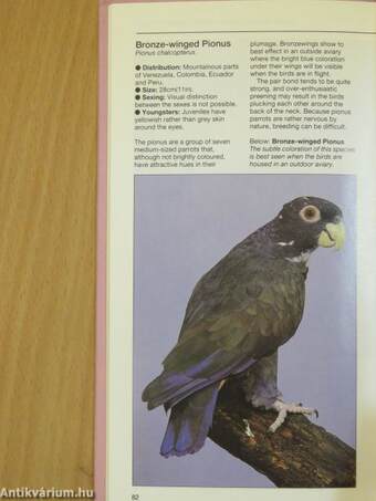 A Birdkeeper's Guide to Parrots and Macaws