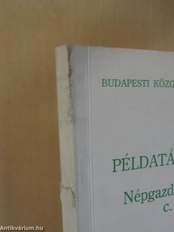 Példatár és útmutató a Népgazdasági szerkezet I. c. jegyzethez