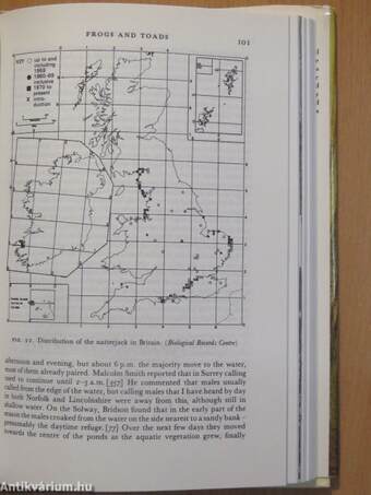 Reptiles and Amphibians in Britain