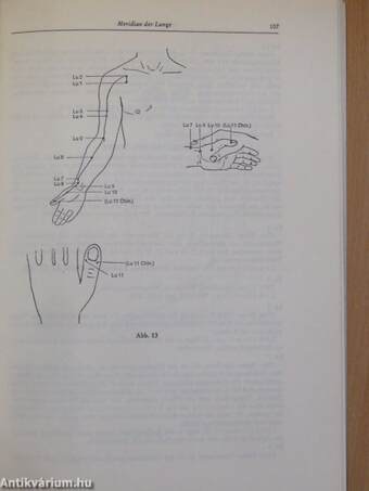 Einführung in die Akupunktur I.