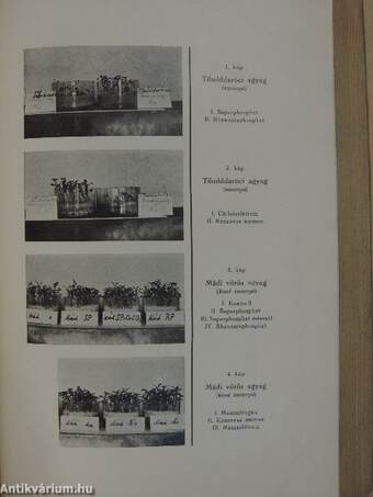 A M. Kir. Szőlő és Borgazdasági Központi Kisérleti Állomás (Ampelologiai Intézet) Évkönyve 1926-1935.