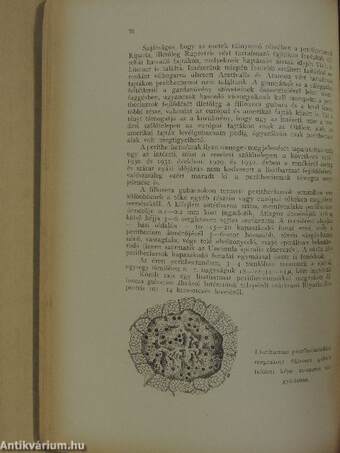 A M. Kir. Szőlő és Borgazdasági Központi Kisérleti Állomás (Ampelologiai Intézet) Évkönyve 1926-1935.