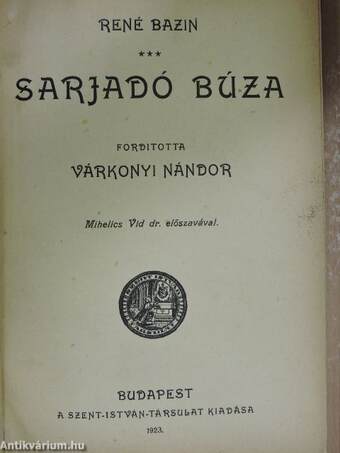 Sarjadó búza