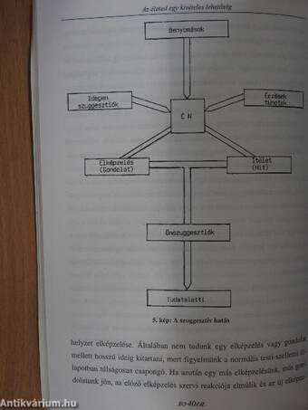 Az életed egy kivételes lehetőség