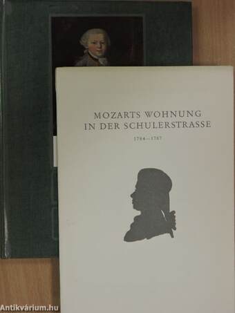 Das Salzburger Mozartbuch